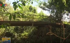 Người dân Bình Phước mong mỏi cầu dân sinh mới