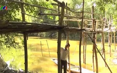 Hiểm họa từ những cây cầu xuống cấp ở Quảng Trị