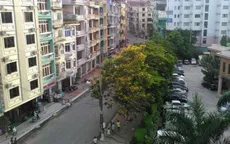 Thay thế cây xanh trên các tuyến phố chính ở TP Hạ Long