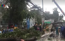 TP.HCM: Mưa lớn, cây xanh ngã đổ đè gãy cột điện