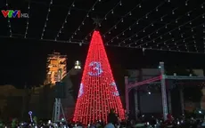 Chiêm ngưỡng cây thông Noel khổng lồ ở Bethlehem