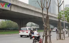 Thiếu không gian xanh tại đô thị