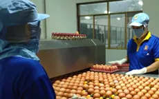 Giảm phí nông nghiệp - Nhẹ gánh cho người chăn nuôi