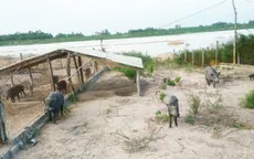 Bà Rịa – Vũng Tàu: Lập trang trại trái phép khiến hồ tưới tiêu bị cạn khô
