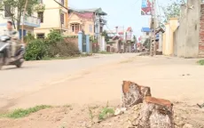 Kiến nghị Hà Nội xử lý tập thể, cá nhân vụ chặt cây xanh trên vỉa hè