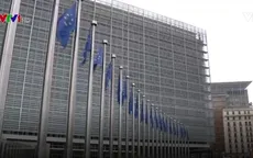 EU chưa thống nhất về chất gây rối loạn nội tiết