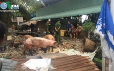 Hỏa hoạn tại TP.HCM, gần chục con lợn bị thiêu sống