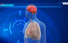 Người chết có thể… sống lại?
