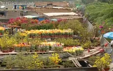 Chợ hoa, cây kiểng Tết và nỗi niềm người bán