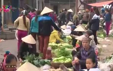 Phiên chợ cuối năm của người trồng rau