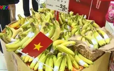 Các thị trường khó tính chuộng chuối Việt Nam