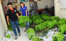 Hàng loạt nông sản phải nhờ giải cứu