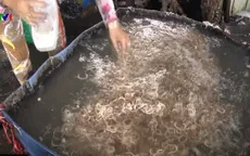 Hậu Giang: Phát hiện cơ sở dùng chất tẩy trắng bắp chuối bào