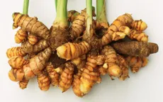 Hưng Yên: Đa dạng hóa sản phẩm từ củ nghệ, ổn định thu nhập