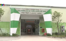 Bất thường trong các cửa hàng dành cho khách du lịch