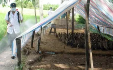 Khánh Hòa chủ động phòng chống dịch cúm A/H7N9