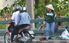 103 điểm kinh doanh gia cầm sống trái phép ở TP.HCM