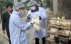 Nghiêm cấm vận chuyển, buôn bán gia cầm qua biên giới
