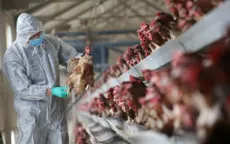 Trung Quốc tăng cường đối phó với dịch cúm A/H7N9