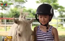 Cưỡi ngựa - Thú chơi mới tại Hà Nội