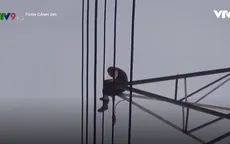Thanh niên nghi "ngáo đá" trèo lên cột điện cao thế