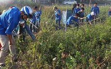 Đà Nẵng ra quân hưởng ứng Tuần lễ Biển và Hải đảo