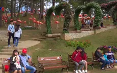 Thung lũng Tình Yêu - Điểm hẹn siêu lãng mạn dịp Valentine
