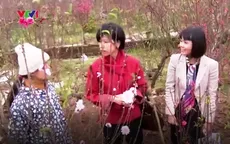 Các nhà ngoại giao với Tết Việt