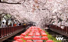 Dễ dàng "phượt" Hàn Quốc giá rẻ với tấm thẻ quyền năng này