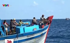 Bắt giữ 4 tàu cá đánh bắt trái phép tại vùng biển Malaysia