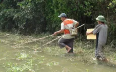 Người dân ĐBSCL vẫn bắt cá bằng xung điện dù bị cấm