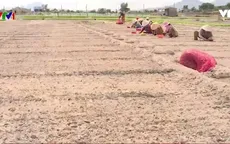 Biến đất cát bỏ hoang thành lợi thế