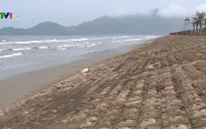 Nhiều tuyến đê biển ở Hà Tĩnh chưa kiên cố