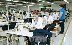 VITAS kiến nghị bỏ quy định tăng thuế nhập khẩu xơ polyester