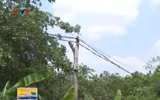 Bức xúc đường điện tạm câu vào xóm nghèo Bình Phước