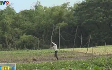 Mất an toàn điện trong sản xuất và sinh hoạt tại Đồng Tháp
