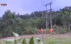 Điện về với người dân Nam Trà My