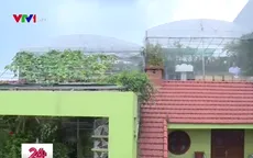 Việc tử tế: Nhân rộng mô hình đô thị xanh tại Hải Phòng