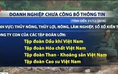 Nhiều DNNN chưa công bố thông tin trên trang thông tin điện tử