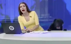 Phấn khích vì được làm khách mời trên TV, chú chó này "phá" luôn bản tin thời sự