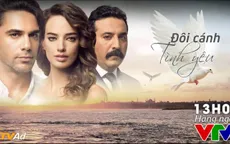 Phim truyện mới trên VTV1: Đôi cánh tình yêu