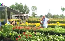 Tuần lễ du lịch Đồng Tháp bắt đầu từ 7/1