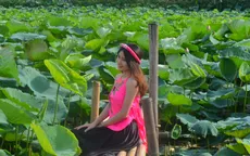 Giới trẻ nô nức chụp ảnh, "thả dáng" bên hồ sen nở rộ