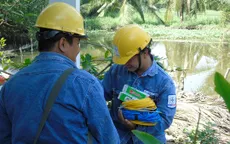 Điện lực TP.HCM sẽ sửa điện miễn phí cho 10.000 hộ dân