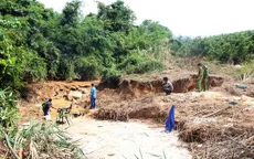 Triệt phá mỏ vàng trái phép ở Lâm Đồng