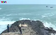 Hình thành tour du lịch văn hóa đá tại Phú Yên