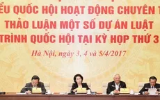 Có nên mở rộng diện chịu trách nhiệm hình sự với 3 tội danh