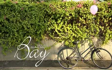 VTV Đặc biệt - Giấc mơ bay: "Không có gì là không thể"