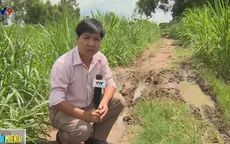 Đường sình lầy, “nát bấy”, người dân Trà Vinh gặp khó