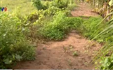 Vĩnh Long: Đường xuống cấp, công trình giao thông mới bị đình trệ